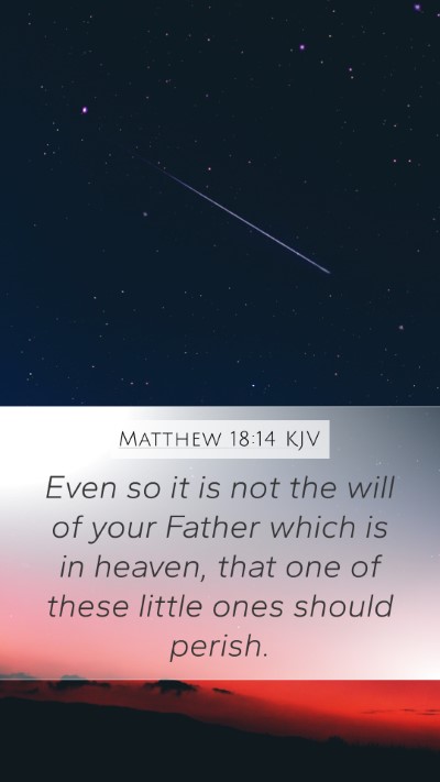 Matthew 18:14 Explained