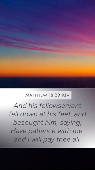 Matthew 18:29 Explained