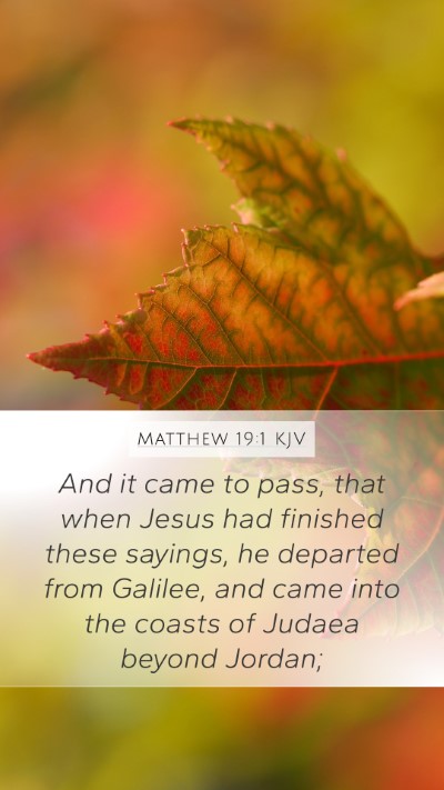 Matthew 19:1 Explained