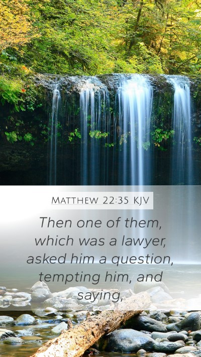 Matthew 22:35 Explained