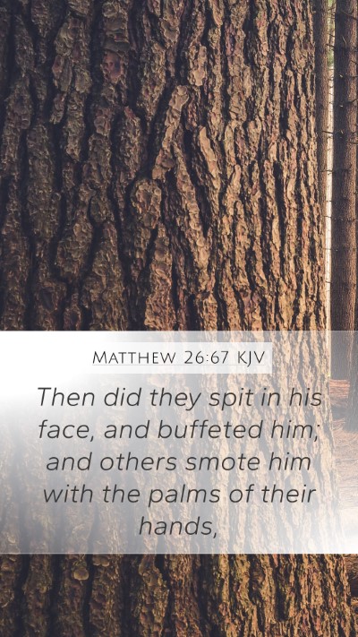 Matthew 26:67 Explained