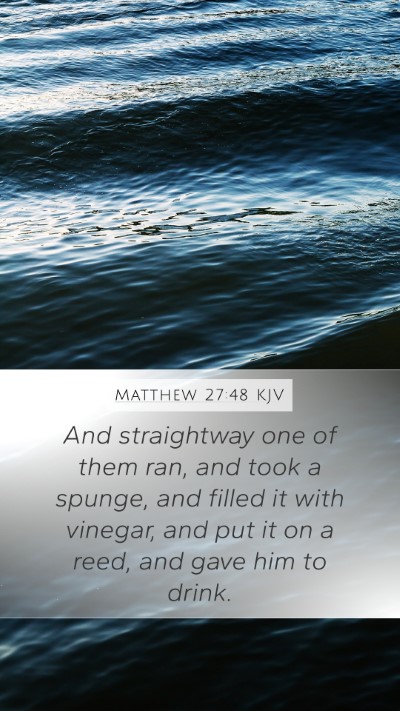 Matthew 27:48 Explained