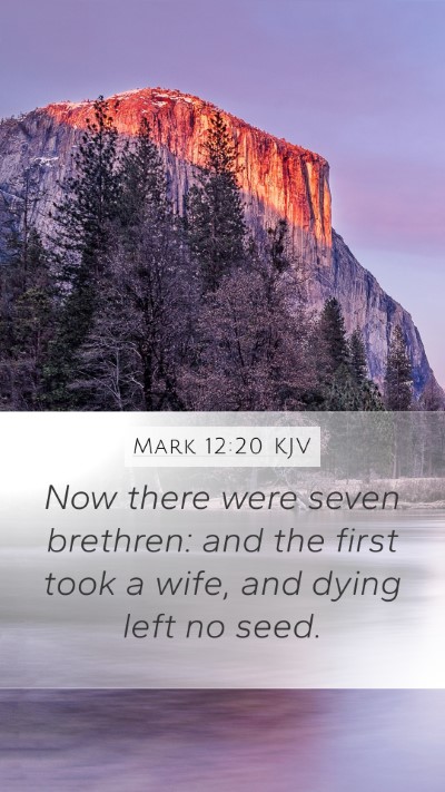 Mark 12:20 Explained