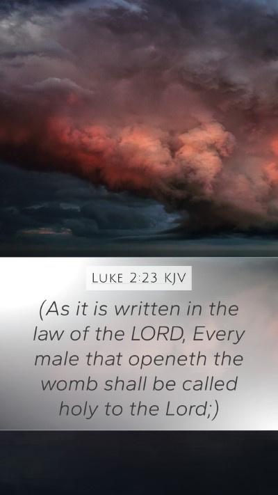 Luke 2:23 Explained