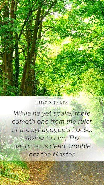 Luke 8:49 Explained