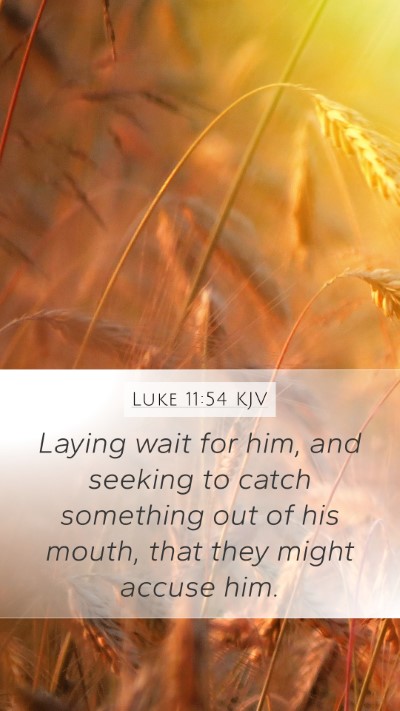 Luke 11:54 Explained