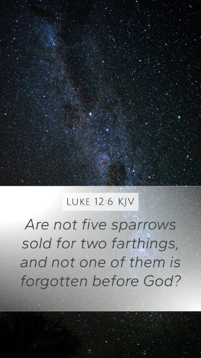 Luke 12:6 Explained