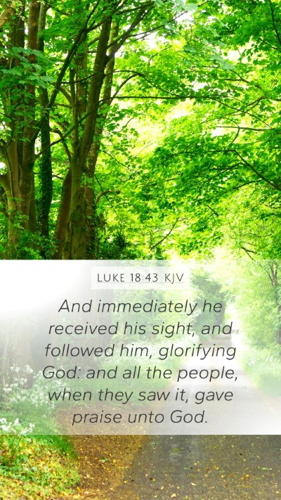 Luke 18:43 Explained