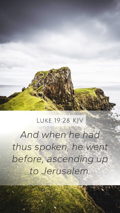 Luke 19:28 Explained