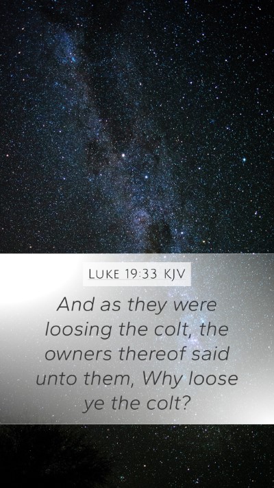 Luke 19:33 Explained