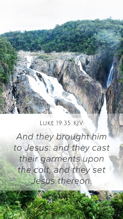 Luke 19:35 Explained