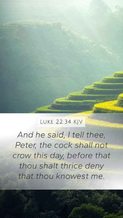 Luke 22:34 Explained