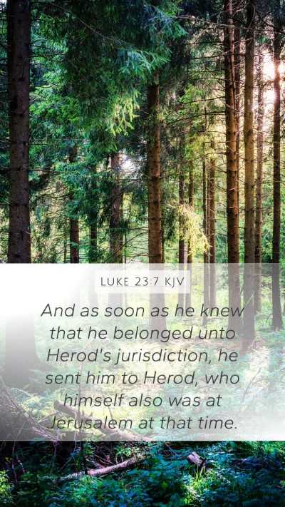 Luke 23:7 Explained