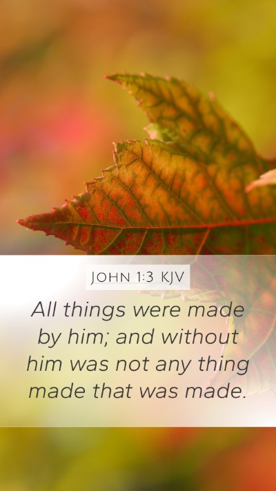 John 1:3 Explained