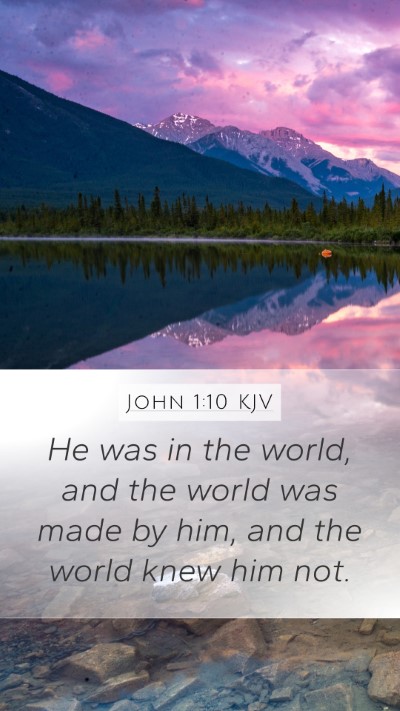 John 1:10 Explained