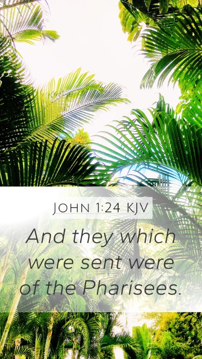 John 1:24 Explained