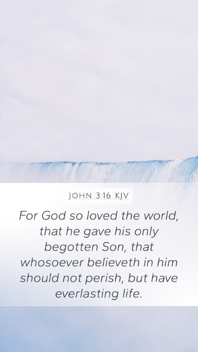 John 3:16 Explained