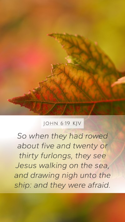 John 6:19 Explained