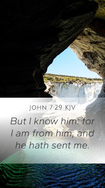 John 7:29 Explained