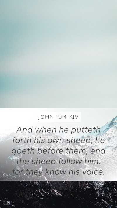 John 10:4 Explained