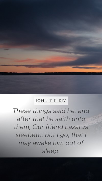 John 11:11 Explained