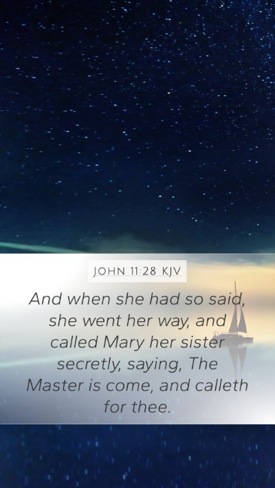 John 11:28 Explained