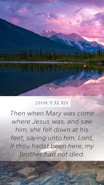 John 11:32 Explained