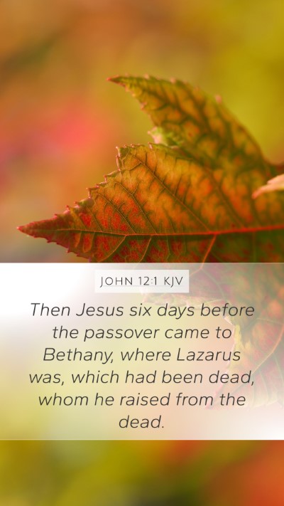 John 12:1 Explained