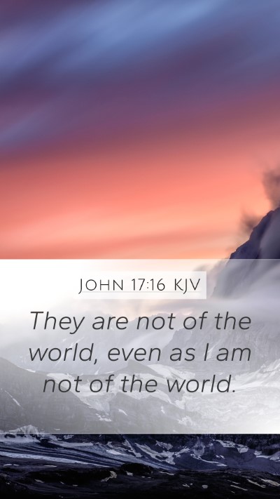 John 17:16 Explained