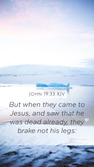 John 19:33 Explained