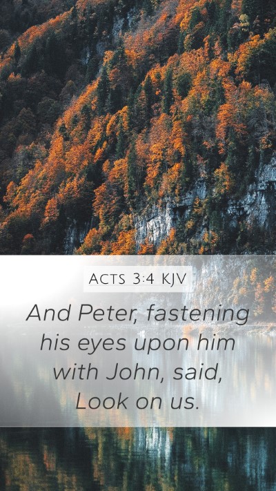 Acts 3:4 Explained