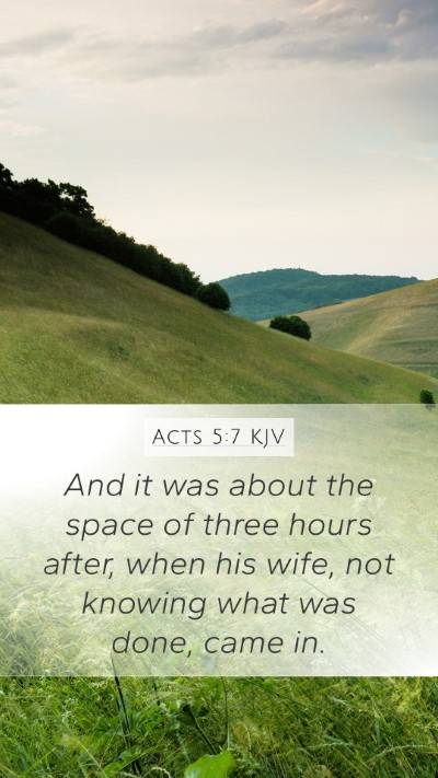 Acts 5:7 Explained