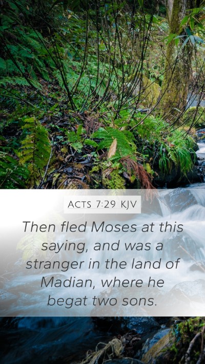 Acts 7:29 Explained