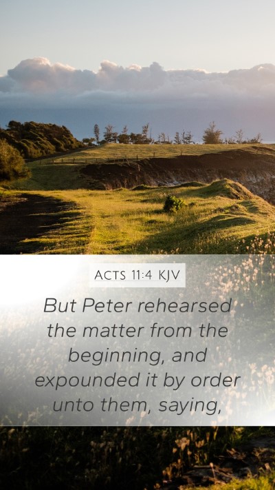 Acts 11:4 Explained