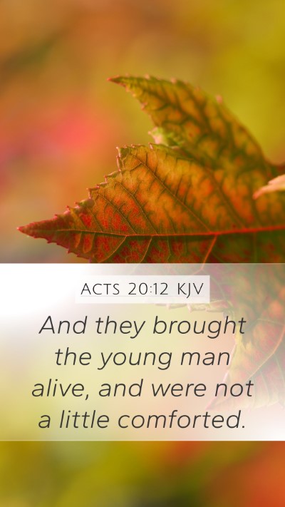 Acts 20:12 Explained