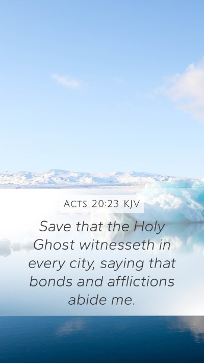 Acts 20:23 Explained