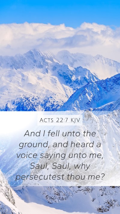 Acts 22:7 Explained