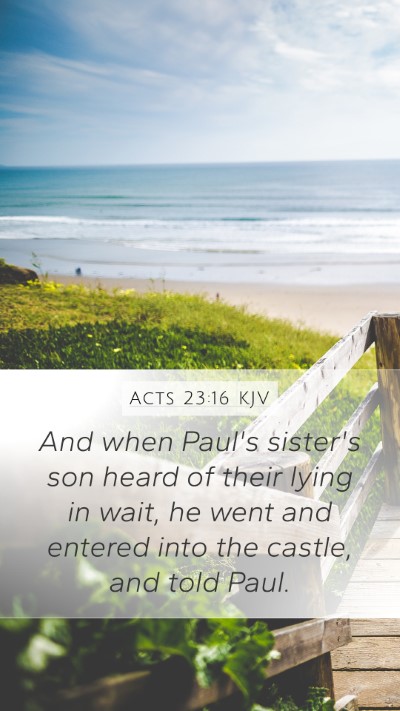 Acts 23:16 Explained