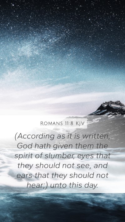 Romans 11:8 Explained