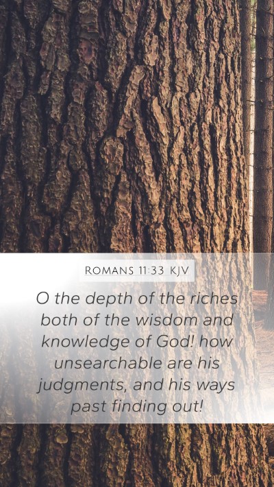 Romans 11:33 Explained