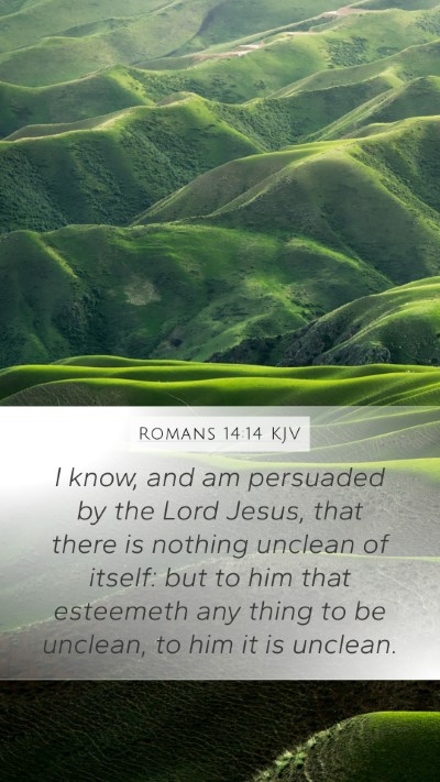 Romans 14:14 Explained