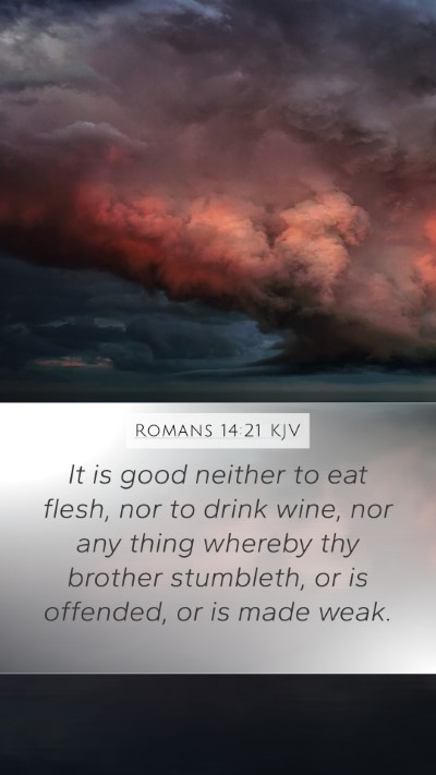 Romans 14:21 Explained