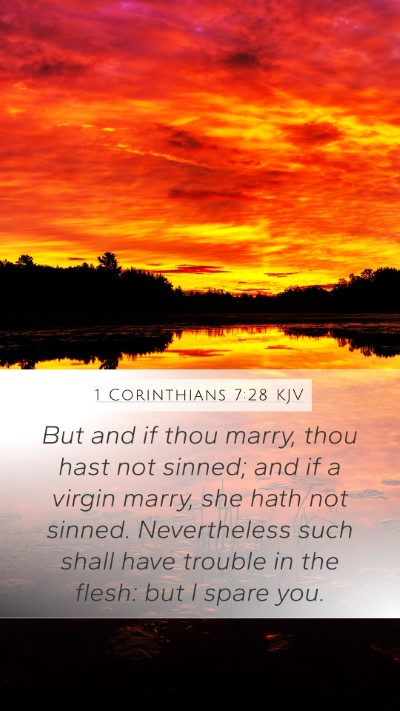 1 Corinthians 7:28 Explained