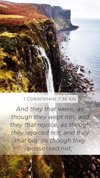 1 Corinthians 7:30 Explained