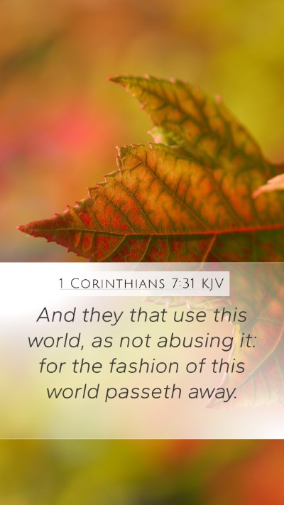 1 Corinthians 7:31 Explained