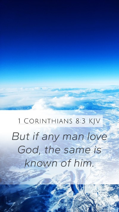 1 Corinthians 8:3 Explained