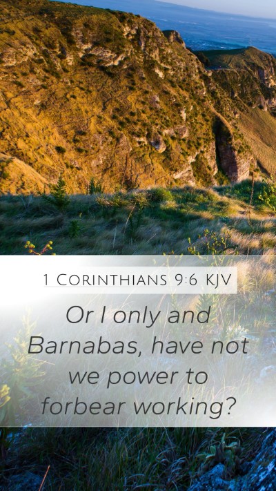 1 Corinthians 9:6 Explained