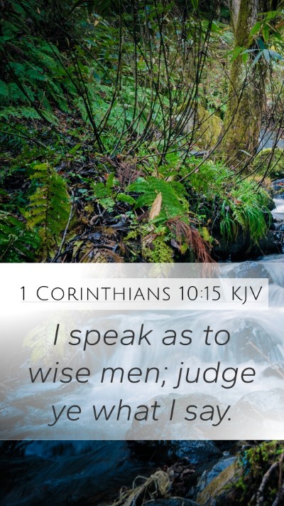 1 Corinthians 10:15 Explained