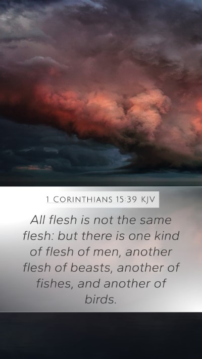 1 Corinthians 15:39 Explained