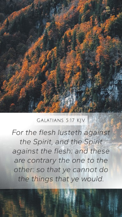 Galatians 5:17 Explained